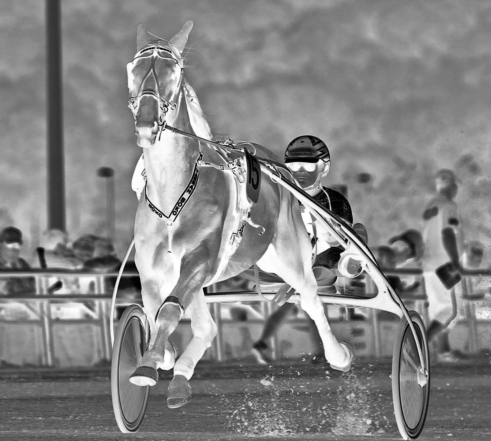 YARRAH BOKO Ekstremt høy drektighet i 205, 83% Pris 206: 3 000 NOK + 25 000 SEK Foto: Marion Klette YARRAH BOKO oppstalles i 206 i Sverige på Norrby Säteri, Tystberga Bernt Staaf, Stuterichef Tlf