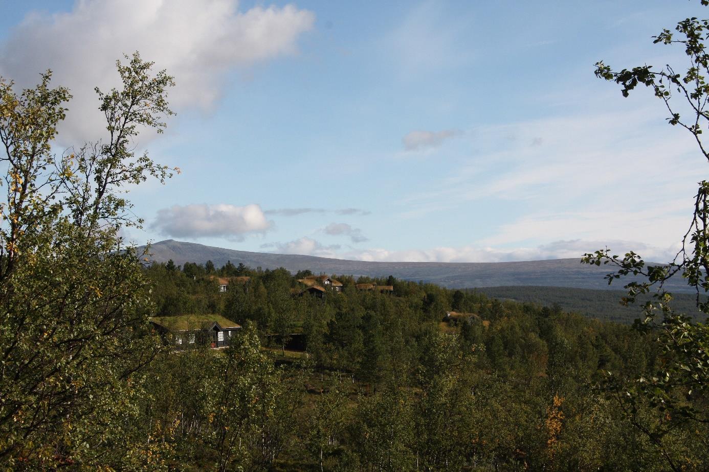 I STILREN pakt med Skardfjellgrenda naturen Mest mulig er en av del den av prisbelønnede opprinnelige fjellnaturen Skåbu Fjellgrend.