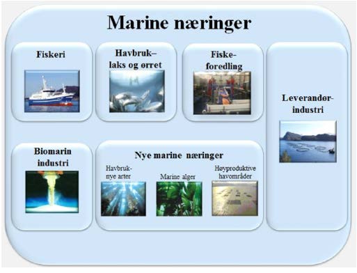 1 Innledning Arbeidet er utført av SINTEF Fiskeri og havbruk AS (kontraktspartner og prosjektleder), SINTEF Teknologi og samfunn og Nordlandsforskning AS i perioden desember 2015 til november 2016.