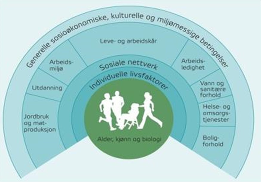 VEDLEGG A. Bakgrunn Alle som brukar planen bør i størst mogleg grad ha felles forståing av omgrep som vert nytta i folkehelsearbeidet.