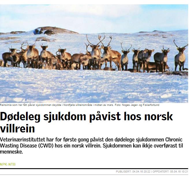 Rein i Nordfjella Første tilfelle på reinsdyr på verdensbasis, og første påvisning i Europa Døde etter