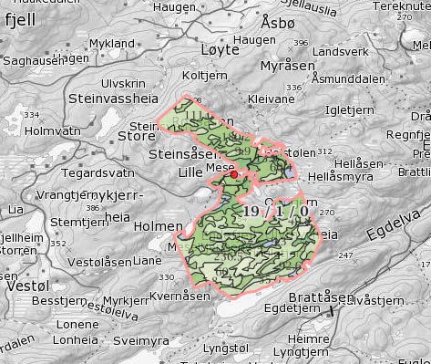 5 Gnr 19 bnr 1 og 3 Arealressurser på eiendommen, hentet fra Gårdskart (NIBIO) I følge skogbruksplanen fra 2011, har skogen en produksjonsevne på 443 m3 og balansekvantum på 370 m3 pr år.