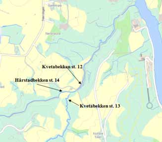 Figur 11. «Urbanisert» fossekall trives i fisketrappa i nedre del av Sverresdalsbekken. (Foto: Morten Andre Bergan) Kvetabekken (St. 12 og 13) og Hårstadbekken (St.