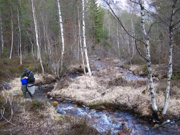 Stasjon 3 (Figur 3) UTM ref. 32V 0408921 6573484 Nederst i Bjørnaråa, rett før samløp med Otra. Stor stein, grus og sand. Litt mose. Figur 3. Stasjon 3 i Bjørnaråa.