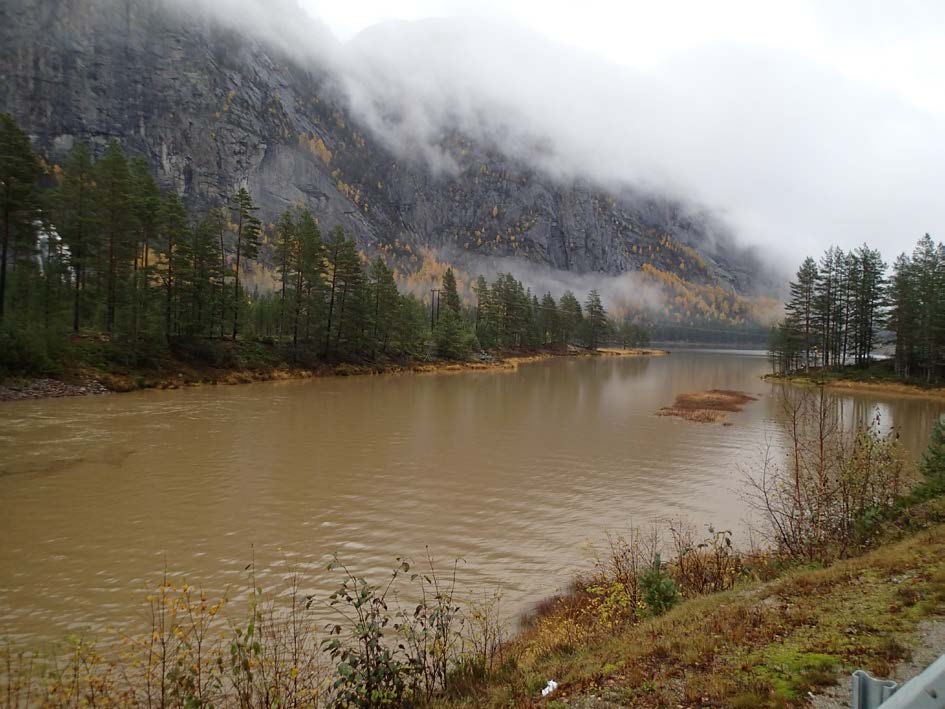 Vedlegg 9 Undersøkelser av bunndyr og fisk i forbindelse med vanninnbrudd i tunell på Brokke Sør den 23.10.2013 Godtfred A.