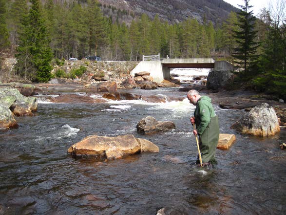 3 Beskrivelse av lokaliteter Bjørnaråa Stasjon 1 kontroll-lokalitet (Figur 1) UTM ref. 32V 04107667 6574608 Øverst i Hagefossen, ovenfor steindeponiet fra tunelldrivingen.