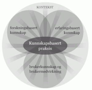 Kunnskapsbasert praksis