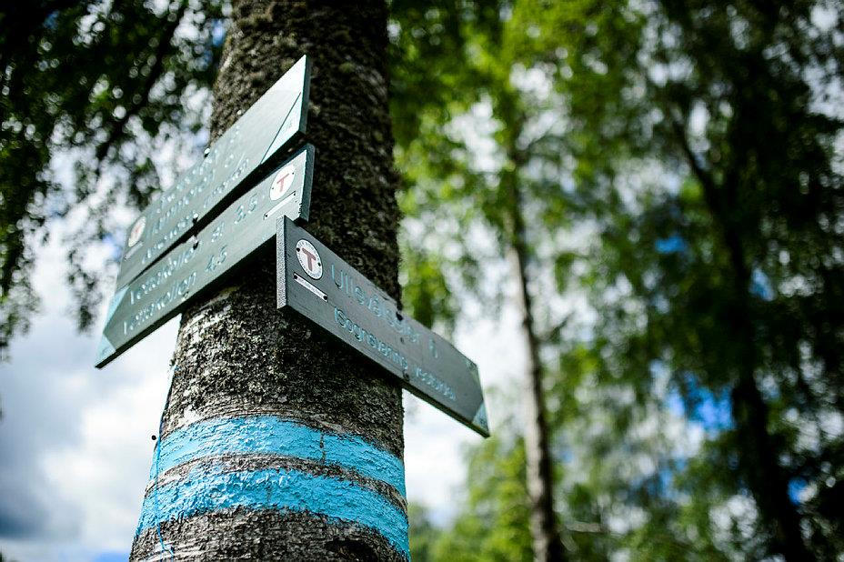 2.100 km med blåmerka stier DNT Oslo og Omegn