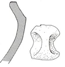 Fig. 4: Skisse av keramikkaret fra Bugaards graving (C17348), med høyt plassert overgang skulder/buk, kraftig innknepet hals og utsvingt munning, samt blindøre på skulderen.