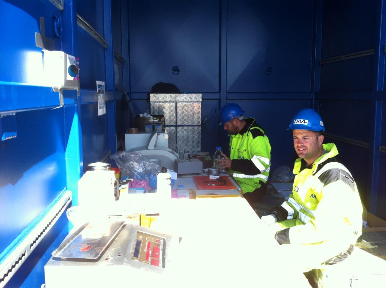2.3 Fish sampling procedure A field labaoratory was set-up within a large transport container (ca. 30 m 3 volume), positioned on the main deck of the Skandi Stord (Figure 6).