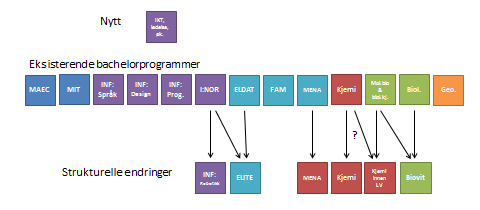 helhetsvurderingen for å synliggjøre sammenhengen mellom nivåene, men presenteres ikke her.