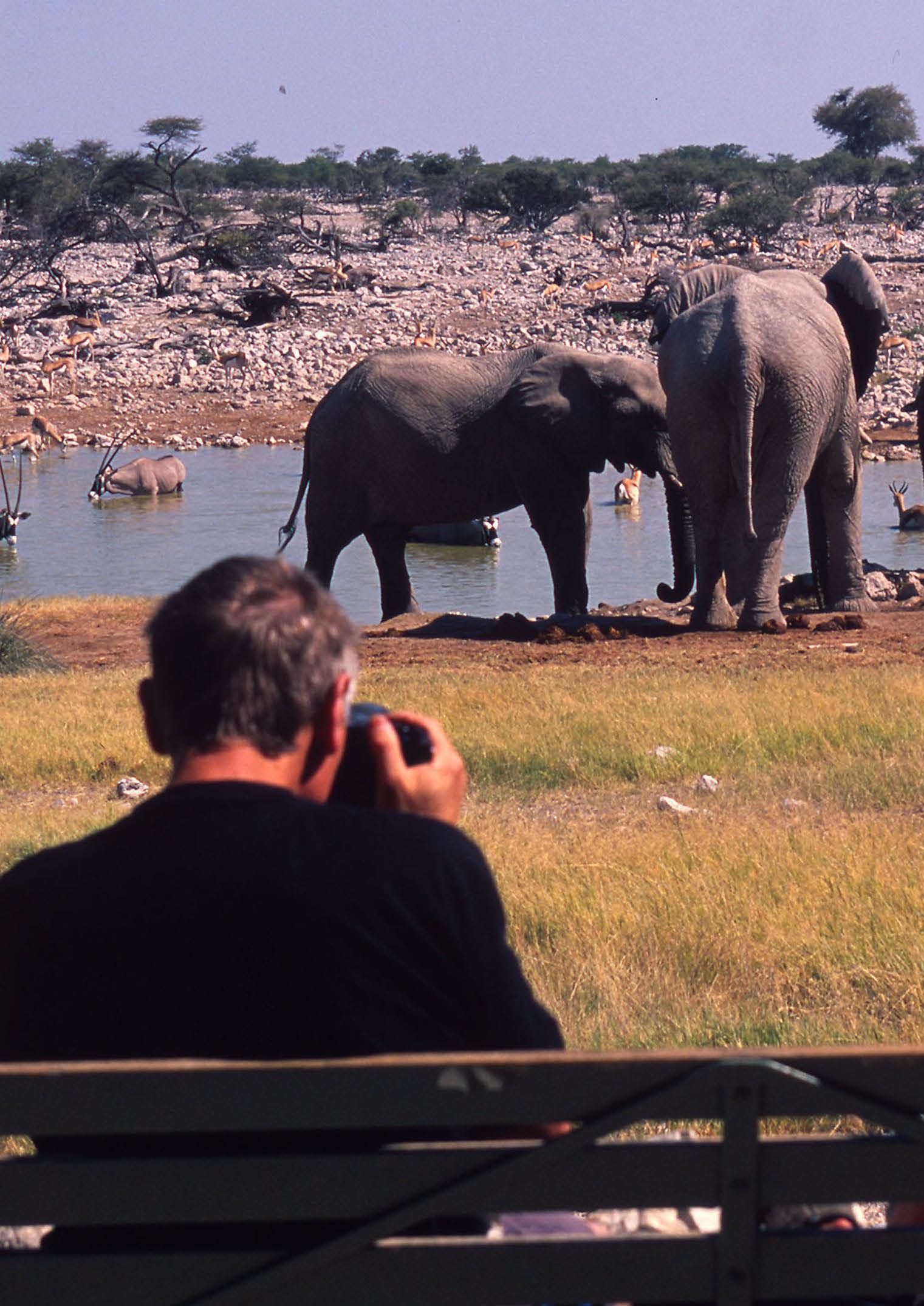 En turist fotograferer elefanter ved et vannhull i Etosha nasjonalpark i Namibia.