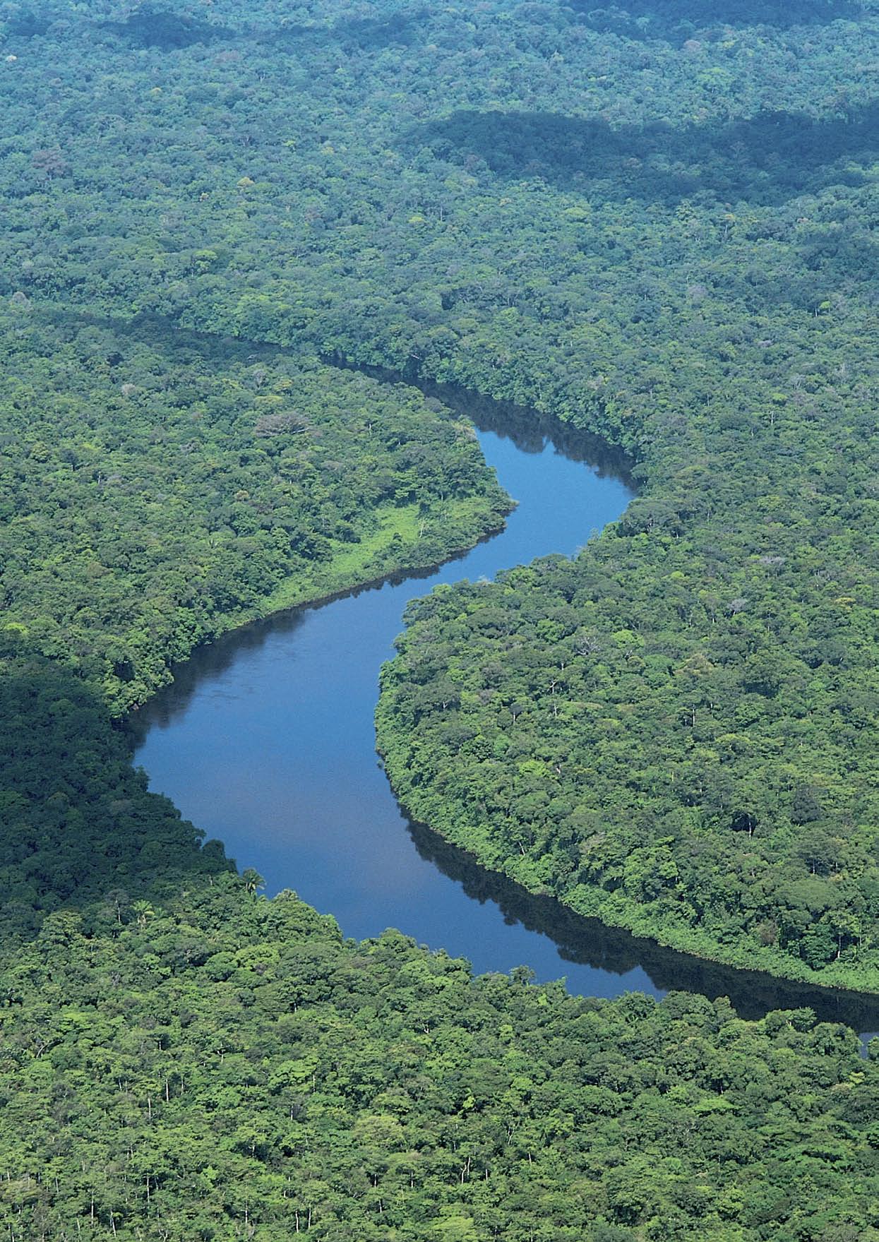 Luftfoto av Sinnamary-elven i franske Guiana og regnskogen som omslutter elven.