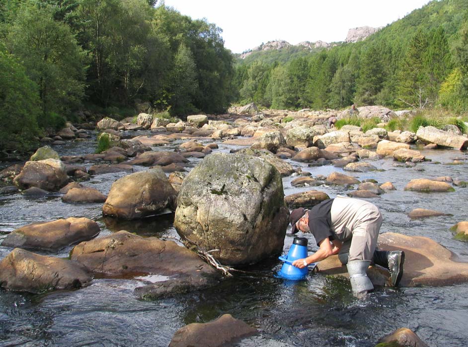 486 Kalking i laksevassdrag Effektkontroll 2008: