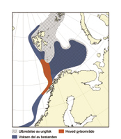 74 HAVETS RESSURSER OG MILJØ 25 K APITTEL 2 ØKOSYSTEM B ARENTSHAVET 2.3.4.4 Nordøstarktisk blåkveite BLÅKVEITE Reinhardtius hippoglossoides Gyteområder: Langs eggakanten mellom Vesterålen og Spitsbergen.