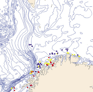 62 HAVETS RESSURSER OG MILJØ 25 KAPITTEL 2 ØKOSYSTEM B ARENTSHAVET 35 m og en lengde på rundt én kilometer. Områder hvor revene står tett kaller vi for revkomplekser.