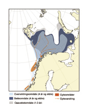 64 HAVETS RESSURSER OG MILJØ 25 K APITTEL 2 ØKOSYSTEM B ARENTSHAVET 2.3.4 Høstbare bunntilknyttede fi skeressurser 2.3.4.1 Nordøstarktisk torsk Bestanden har vokst siden 2, og gytebestanden er over førevargrensen.