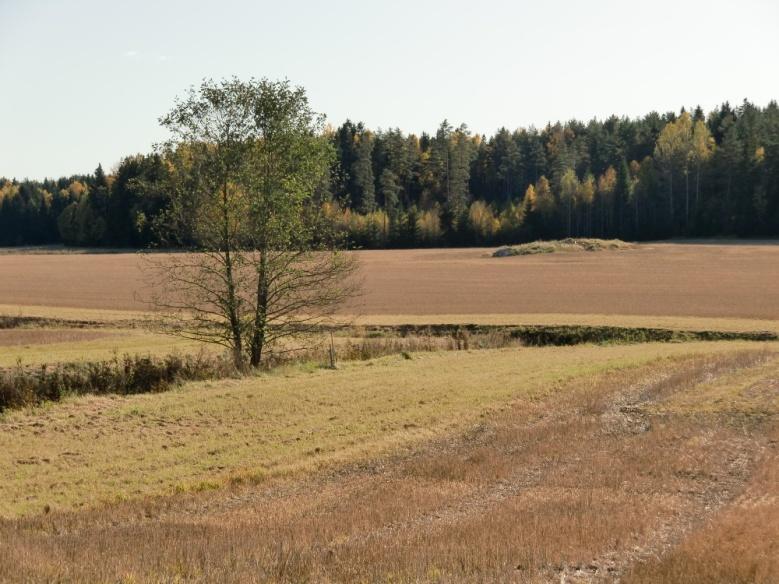 Bakgrunn og formål EUs rammedirektiv for Vann Samfunnsmessig kostnadseffektivitet ved vurdering av tiltak på tvers av sektorer Kombinasjon av tiltak som mest kostnadseffektivt gjør det mulig å nå og