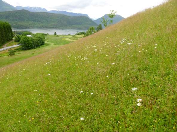 Vestlandet Skjøtselsplan for Li slåttemark, Ørskog kommune, Møre og Romsdal fylke.