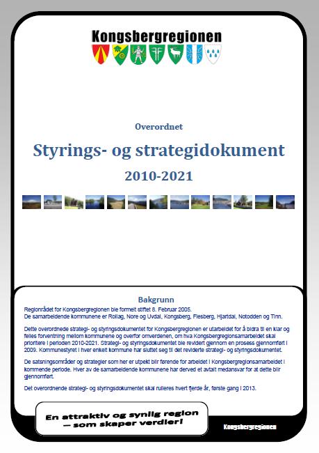 Strategier Kommunestyrene vedtok i 2010