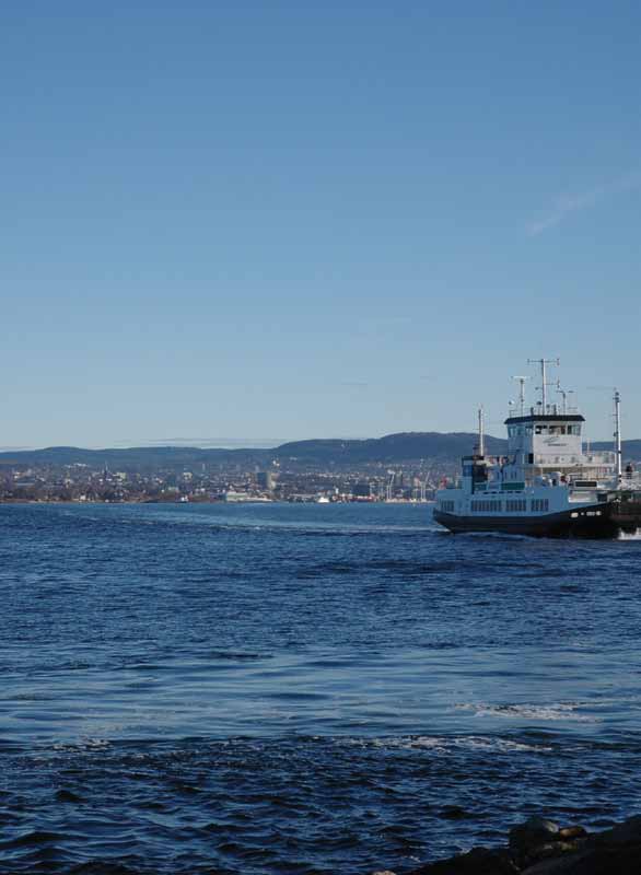 Program for Nesodden Venstre for perioden