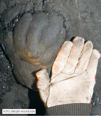 PANTODONT Breinosa 20.12.2006: Gruvearbeiderne Håvard Dyrkollbotn og Kent Solberg finner merkelige klumper i taket i Gruve 7. De kontakter paleontologen Jørn Hurum som reiser opp for å ta en titt.