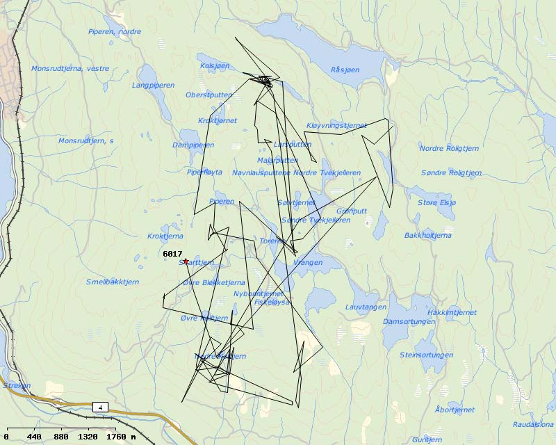 Eksempel på ei søyes bevegelser gjennom beitesesongen Statistikk 2011: Av 633 GPRS-enheter i drift (sau) er det mottatt rapport for 407 stk.