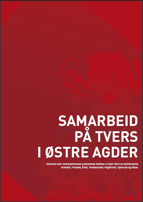 Regional utvikling: Vi skal styrke det interkommunale samarbeidet Sånn har vi det Flere samarbeid organisert på