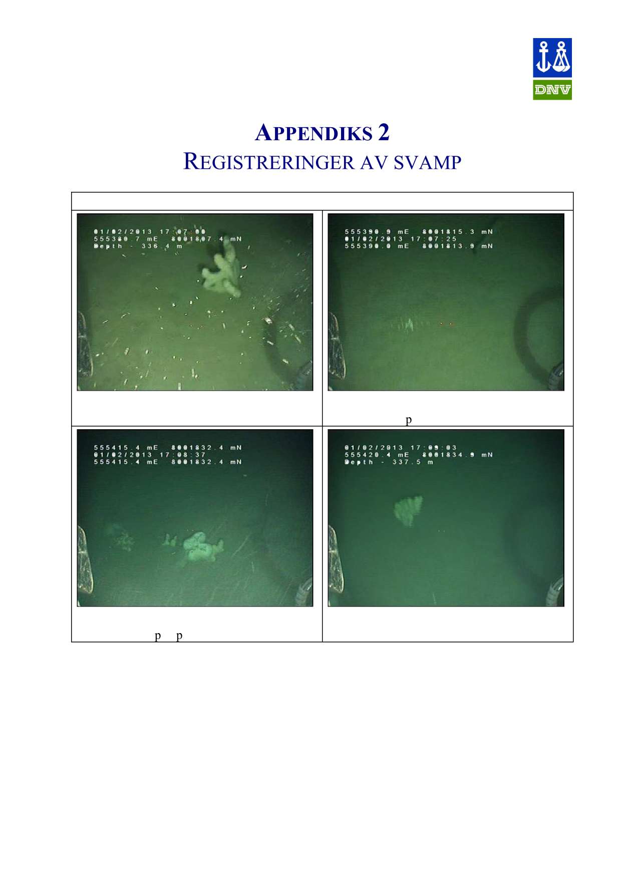 APPENDIKS 2 REGISTRERINGER AV SVAMP Transekt A-01 Mycale lingua Bløtbunnssvamp - enkeltindivid Porifera indet Bløtbunnssvamp - enkeltindivid Geodia