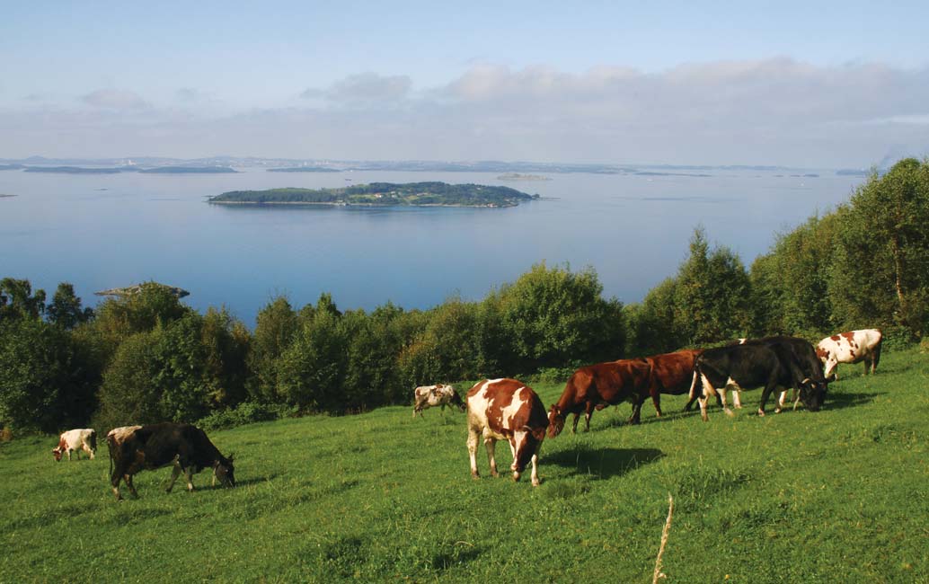 Solbakk mot Heng, Strand. Foto: A. J. Lyshol. Området (bratt areal og/eller slåttemark) det vert søkt om tilskot til, skal vere teikna inn på miljøplankartet (miljøplan, trinn 1).