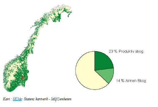 Skogressursene viktig for Norge Skogressursene er fornybare og skogbruk er en viktig distriktsnæring med økonomisk betydning nasjonalt, regionalt og lokalt. I 2011 var stående volum rundt 880 mill.