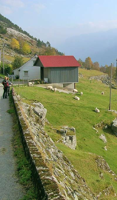 Naturressursar Omtale av konsekvensar for jord- og skogbruk. Registrering av eksisterande vassforsyning frå elvane til fastbuande, jordbruk og hytter.