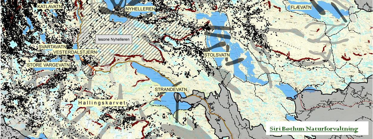 Datasettet fra gps-merking i Nordfjella fra 2007-2013 bekrefter dette i stor grad. Tidligere var det mye dyr også i dette området.