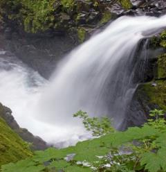 Påvirkes naturmangfold?