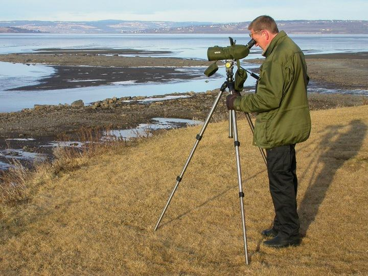 Metoder Hvordan er tellingene utført? Tellingene har startet i grålysningen når lysforholdene er gode nok til å artsbestemme fuglene.