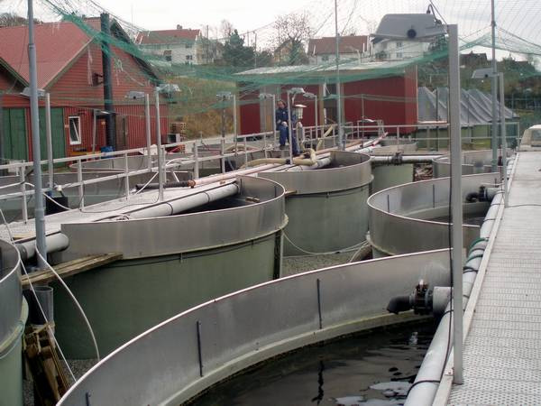 Dokumentasjonsvedlegg til søknad om utvidelse ved Lerøy Vest AS avd. Tau (reg.