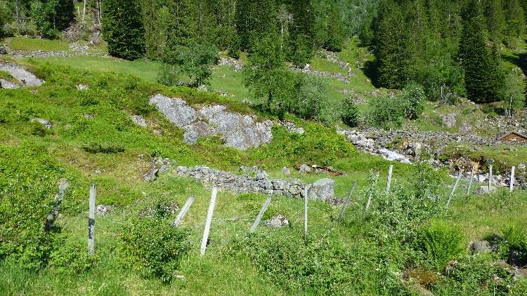 Rv. 13 Brattlandsdalen, Hordaland grense - Håra, strekningsanalyse 37 Naturmiljø Lokalitet 11 og 12. Veg og vegskråninng kan gje inngrep i utkant av område.