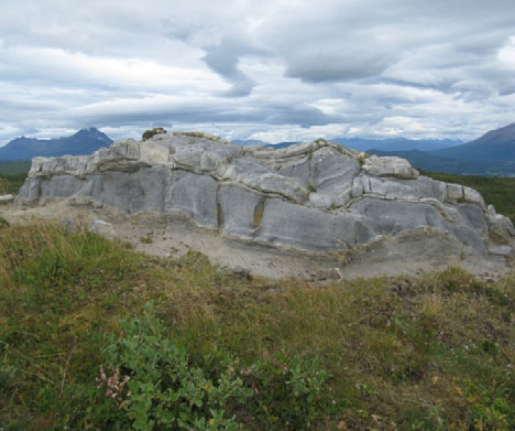 Den næringsrike kalkspatmarmoren forekommer vanlig i den sørvestlige delen av kartleggingsområdet.