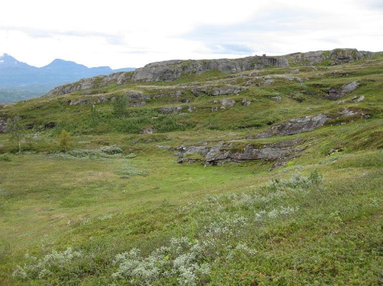 av gras utviklet gjennom lang tids beiting. Ved befaringa i august var disse arealene godt, og til dels svært godt avbeita.