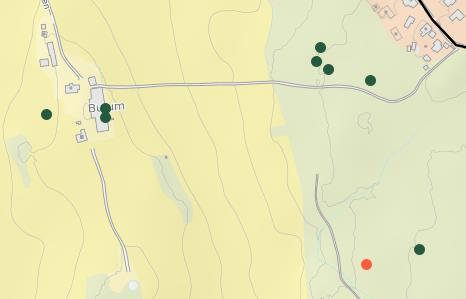 Burumskogen Liker/fin skog (8) - Det er en fin skog - jeg elsker og dra til denne skogen når vi er på tur #SaveTheForest - jeg liker denne skogen - skogene