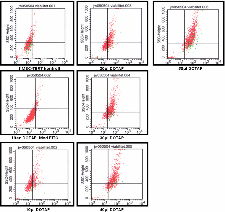 Figur 3.1.2.1.1 Resultatene er vist i figur 3.1.2.1.1. Kontrollpopulasjonene med ubehandlede celler og FITC-tilsatte celler (uten DOTAP) plasserer seg til venstre for diagrammenes populasjonsseparerende kvadrant.