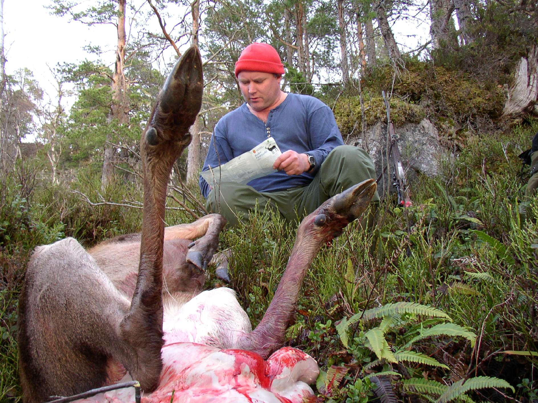 Bedre Hjortejakt 2003. Rapport fra spørreundersøkelsen. Mai 2004.