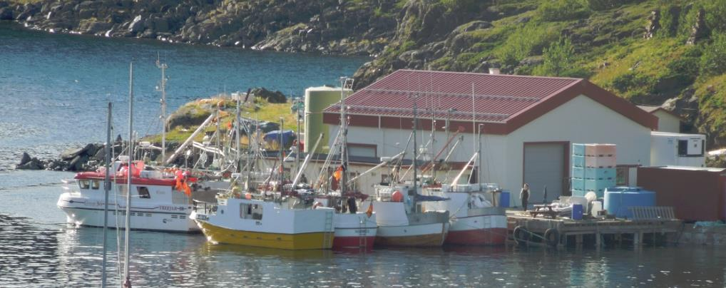 Kongekrabbe 214 Prisdrøftelser Kongekrabbe Tid: torsdag 12.