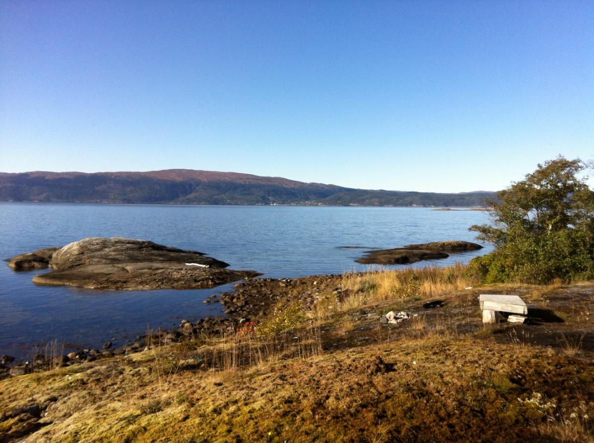 Et utsnitt av strandsonen. Strandsonen er slik den fremstår i dag preges av stein og noe svaberg. For barn er området mindre egnet til bading.