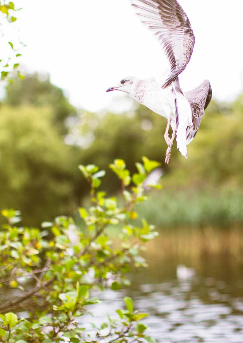 TIDENES BESTE BETALINGSBETINGELSER! KR 0,- VED KONTRAKT OG FASTE PRISER. Kjøper du bolig av oss i Øster Hus tar vi regningen for finansieringen i hele byggeperioden, helt frem til innflytting.