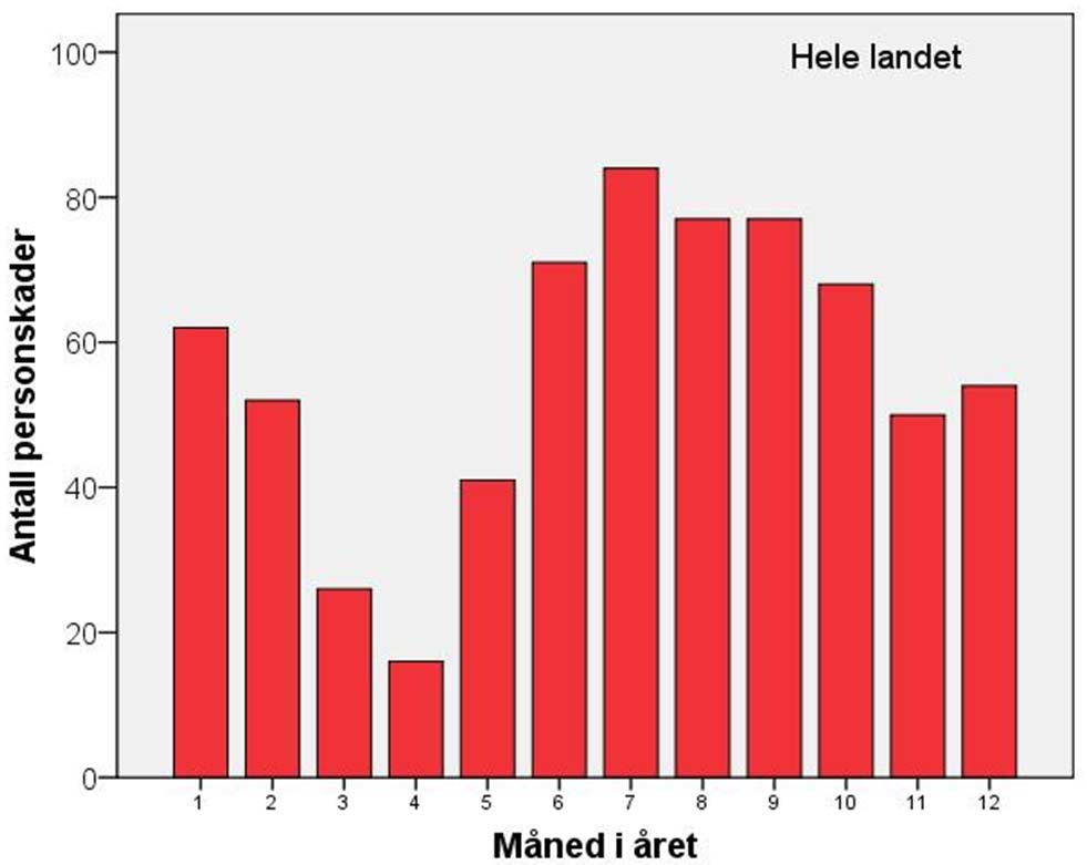 MEN.Relativt flere personskader sommerstid: Personskadeulykker - elg STRAKS ulykkesregister 1993