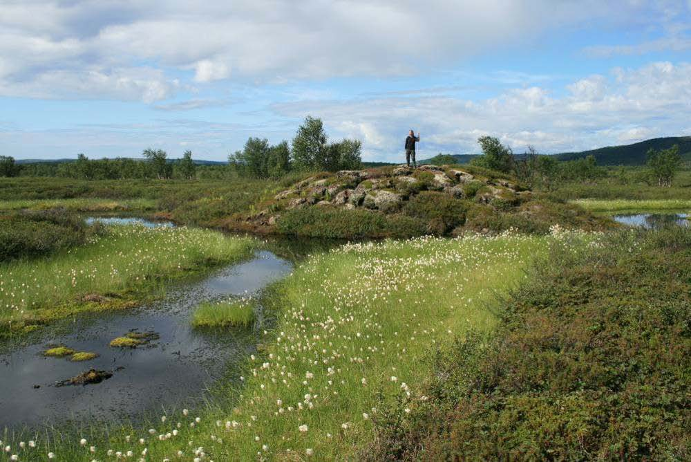 476 Overvåking av palsmyr