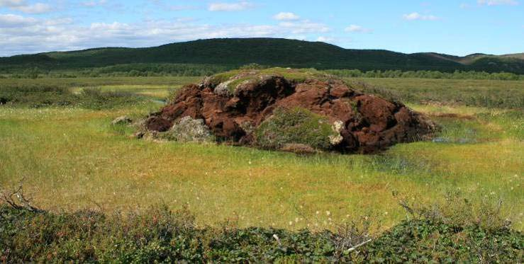 sirkler) har minket i størrelse siden 1970-tallet, og i tillegg er tidligere sammenhengende palsformasjoner gjennom permafrostens minkede utbredelse blitt delt opp i palsfragmenter.