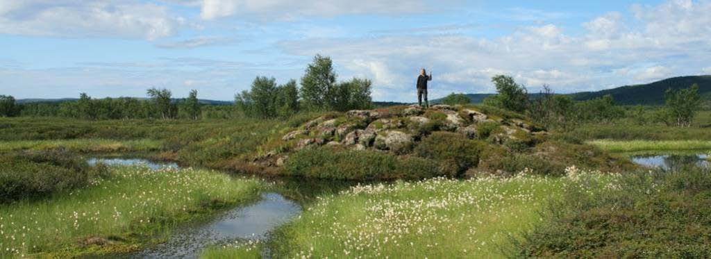 Figur 15: Pals FM07 i Ferdesmyras nordre del. Det øvre bildet fra 5. juli 2004 viser at palsen er i en rask nedbrytningsfase. I det nedre bildet fra 7.