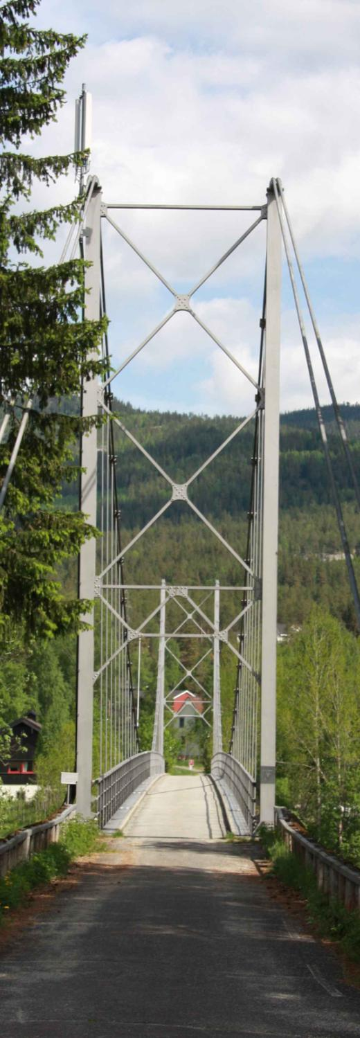 Grøntstruktur = Steder for utendørs opphold og friluftsliv Turstier sommer og vinter Skilte til Vrågåvarden Lekeplass ved barnehage Gjøre Lågen mer